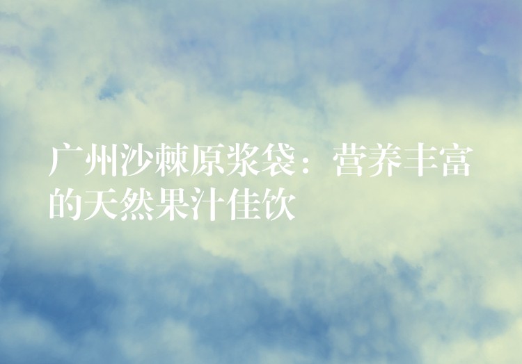 廣州沙棘原漿袋：營養豐富的天然果汁佳飲