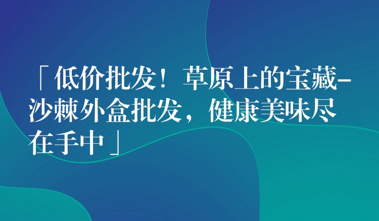 「低價(jià)批發(fā)！草原上的寶藏-沙棘外盒批發(fā)，健康美味盡在手中」
