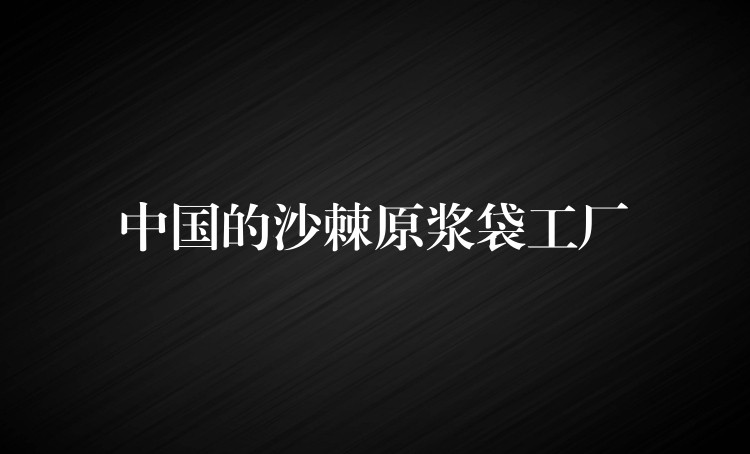 中國的沙棘原漿袋工廠 中國的沙棘原漿袋工廠