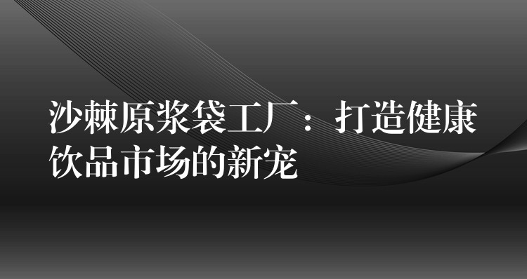 沙棘原漿袋工廠：打造健康飲品市場的新寵