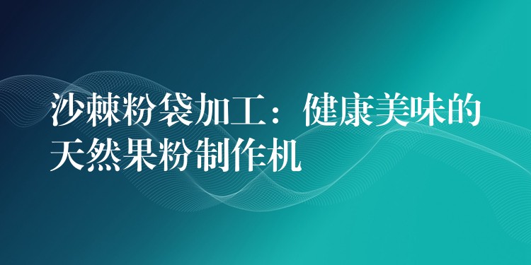 沙棘粉袋加工：健康美味的天然果粉制作機