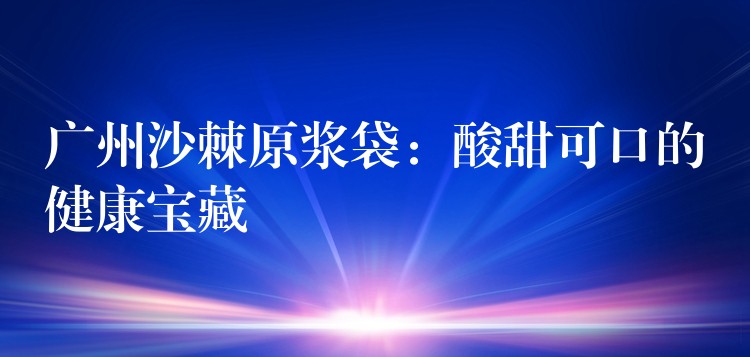 廣州沙棘原漿袋：酸甜可口的健康寶藏