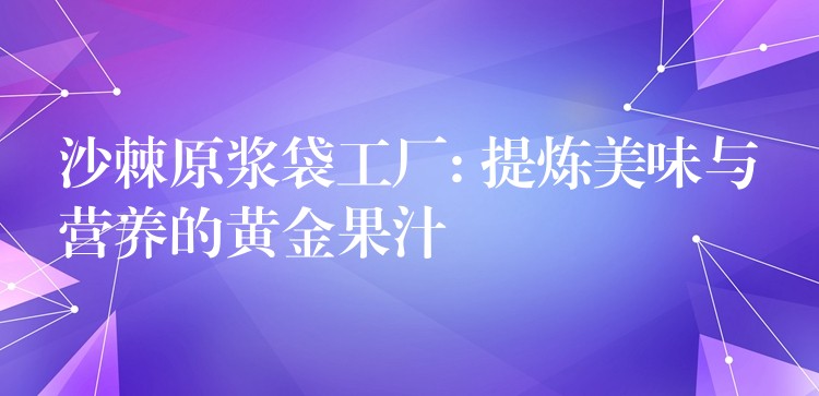 沙棘原漿袋工廠: 提煉美味與營養(yǎng)的黃金果汁